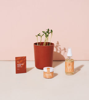 A terracotta pot with sprouting sunflower seeds, alongside a jar of cream labeled "Illuminate" and a spray bottle labeled "Awaken," all set against a soft pink background.