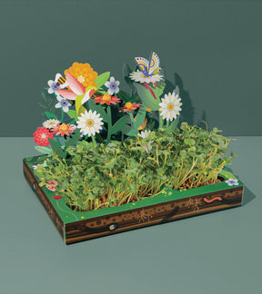 Microgreens Pop-Up Kit featuring vibrant greenery and colorful flower decorations, ideal for indoor gardening.