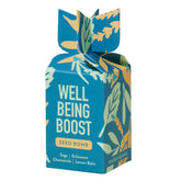 Colorful seed bomb packaging featuring botanical illustrations and text that reads "Well Being Boost" with herb names.