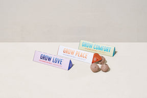 Bright Side Seed Balls packaging displayed with three varieties: Grow Love, Grow Peace, and Grow Comfort, alongside seed balls.