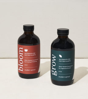 Two bottles of Modern Sprout plant nutrients for potted plants, labeled "bloom" and "grow," showcasing their water-soluble formulas.