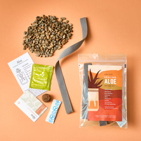 Passive Hydroponic Replant Kit featuring aloe instructions, plant fertilizer, growing medium, and replanting materials on an orange background.