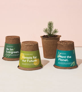 One-For-One Tree Kits featuring biodegradable pots with labels promoting sustainability and tree planting.