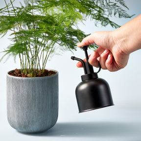 Hand holding a black mister above a potted plant, demonstrating watering technique for indoor greenery.