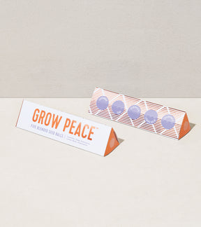 Bright Side Seed Balls packaging featuring "Grow Peace" and five blended seed balls for planting.