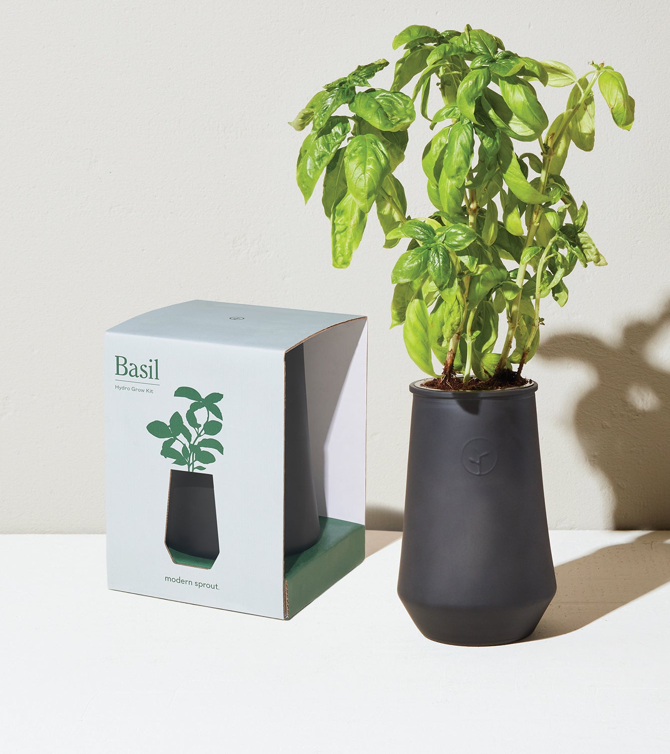 Tapered tumbler grow kit featuring a thriving basil plant alongside its packaging on a light surface.