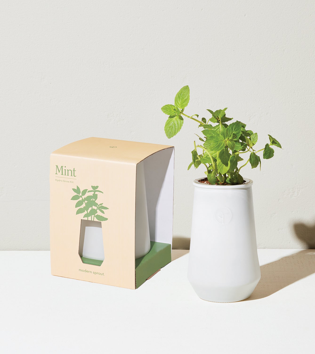 Tapered tumbler grow kit featuring a mint plant in a white ceramic pot next to its eco-friendly packaging.